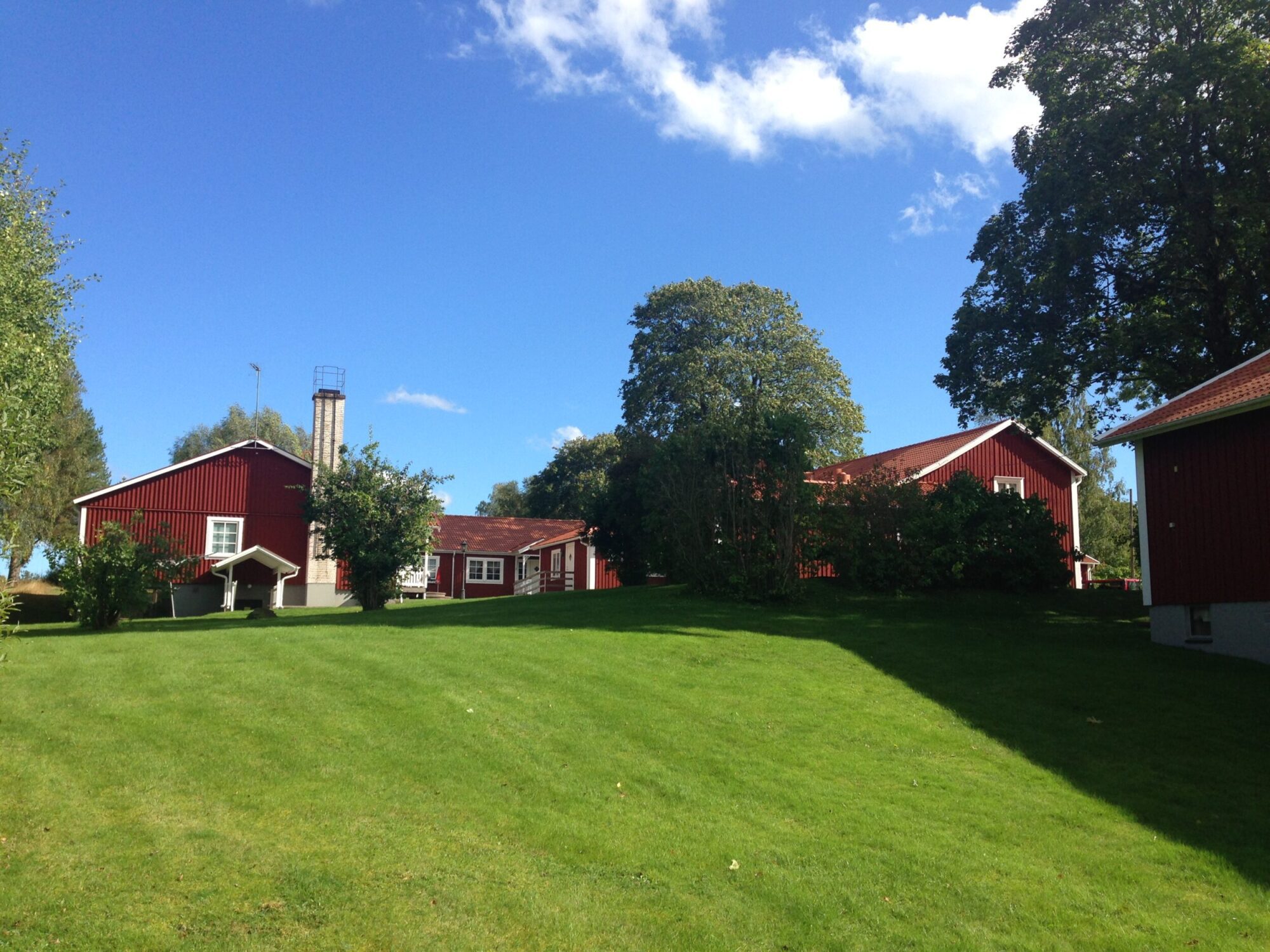 Grönt gräs med röda hus.